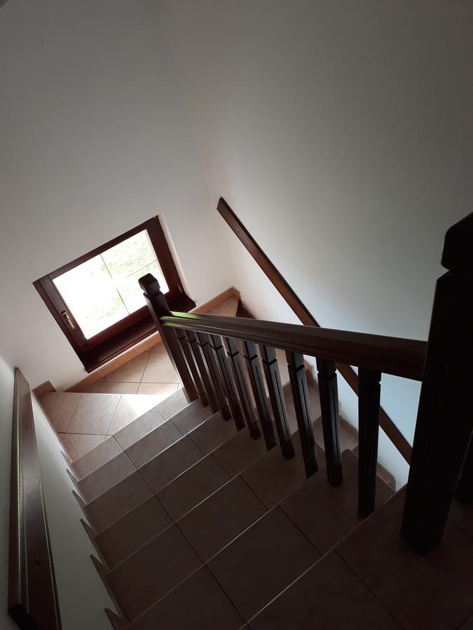 Apartments Markoni Zlatibor Dış mekan fotoğraf