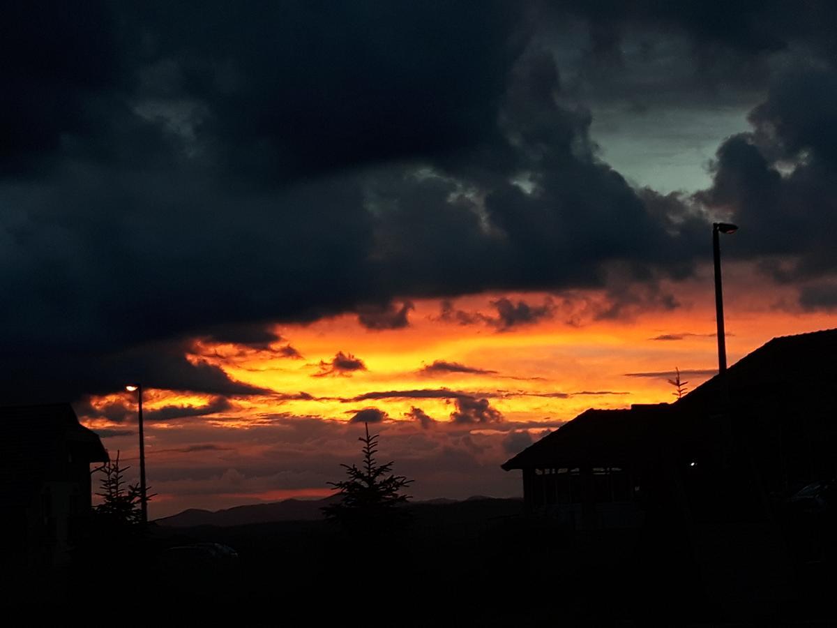 Apartments Markoni Zlatibor Dış mekan fotoğraf